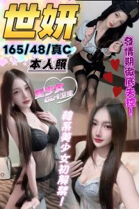 台中中區定點 馬來:圖片 2