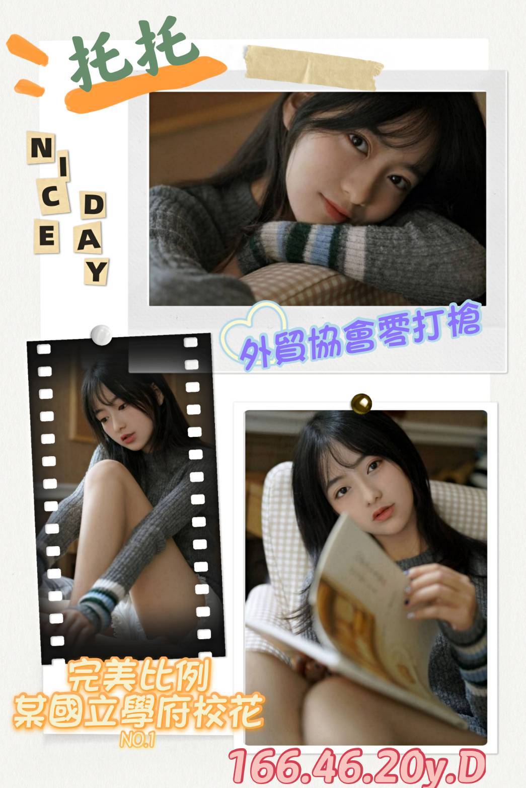 托托-11.jpg 托托-11.jpg