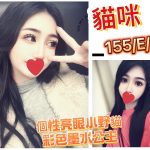 貓咪-8.jpg