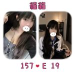 貓貓-4-2.jpg